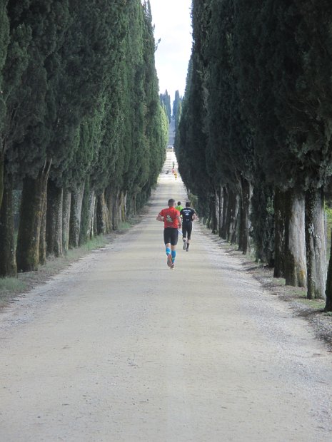 Chianti-1 2016 - 060